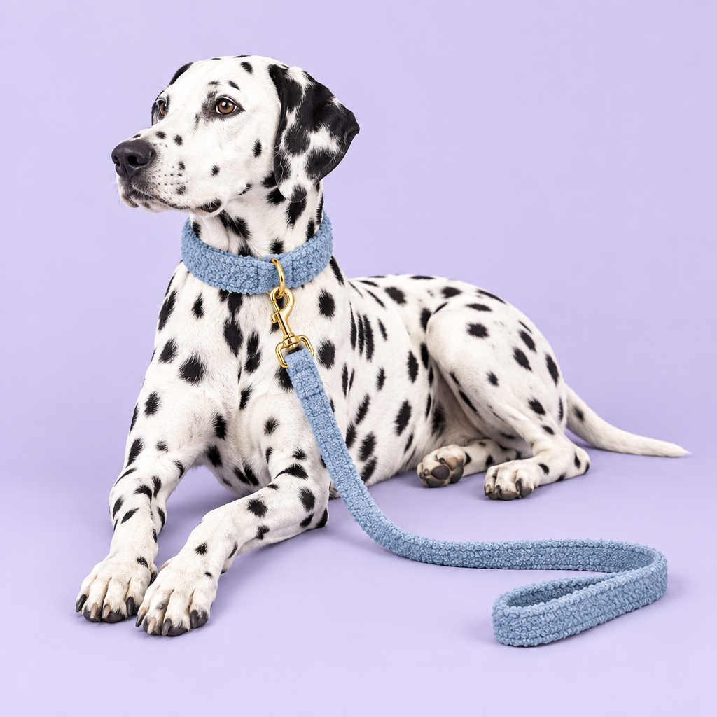 Dalmatian in blue teddy-fleece set