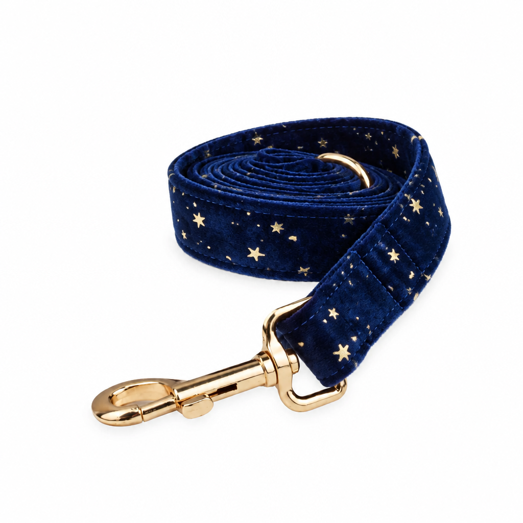 Dark blue velvet coiled leash with gold stars