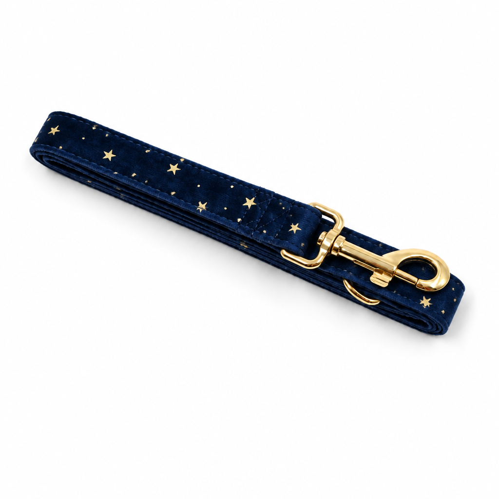 Dark blue velvet folded leash with gold stars