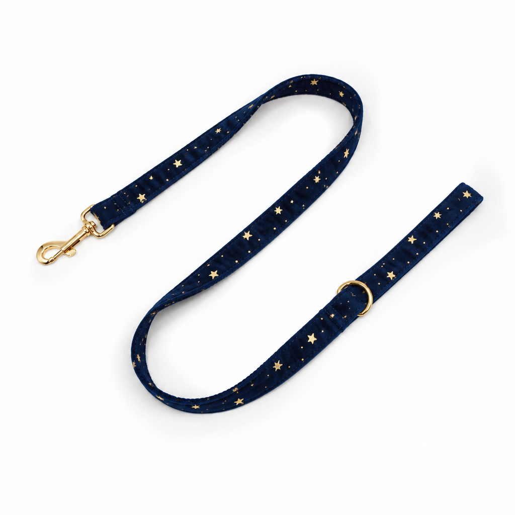 Dark blue velvet full-length leash with gold stars