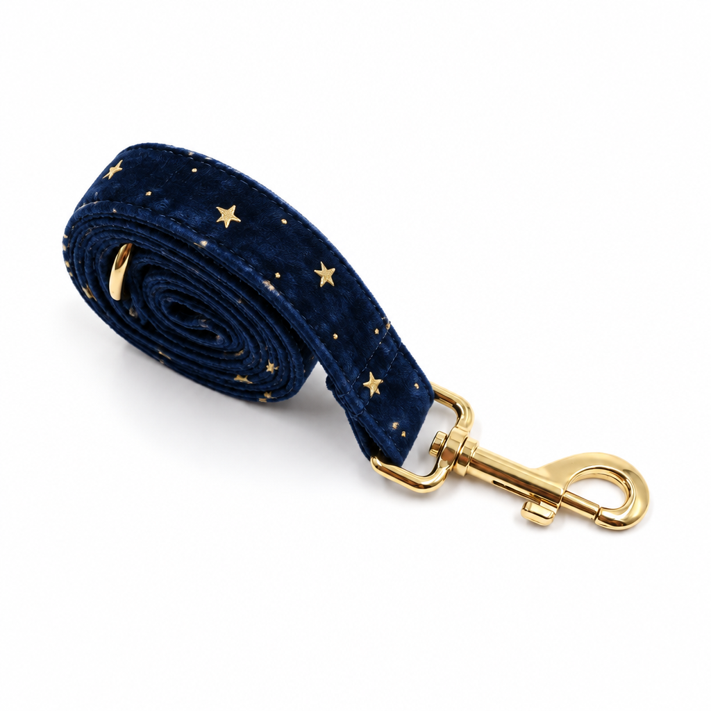 Dark blue velvet rolled leash with gold stars