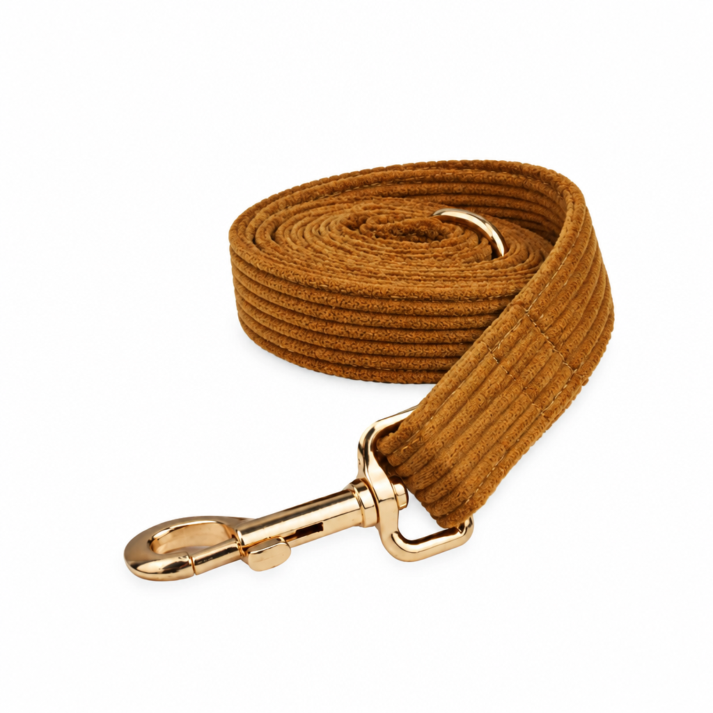 Dark yellow corduroy coiled leash