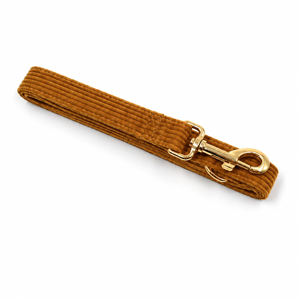 Dark yellow corduroy folded leash