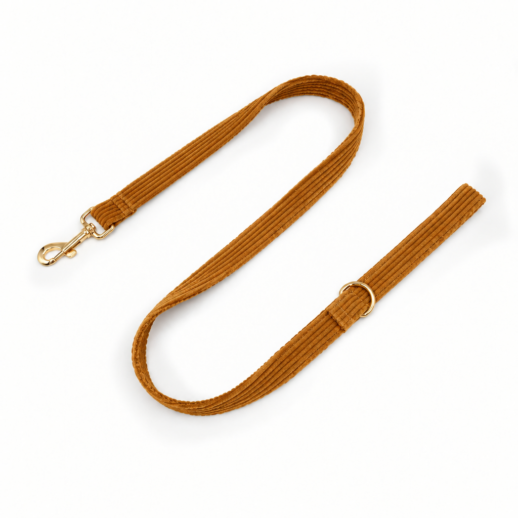 Dark yellow corduroy full-length leash
