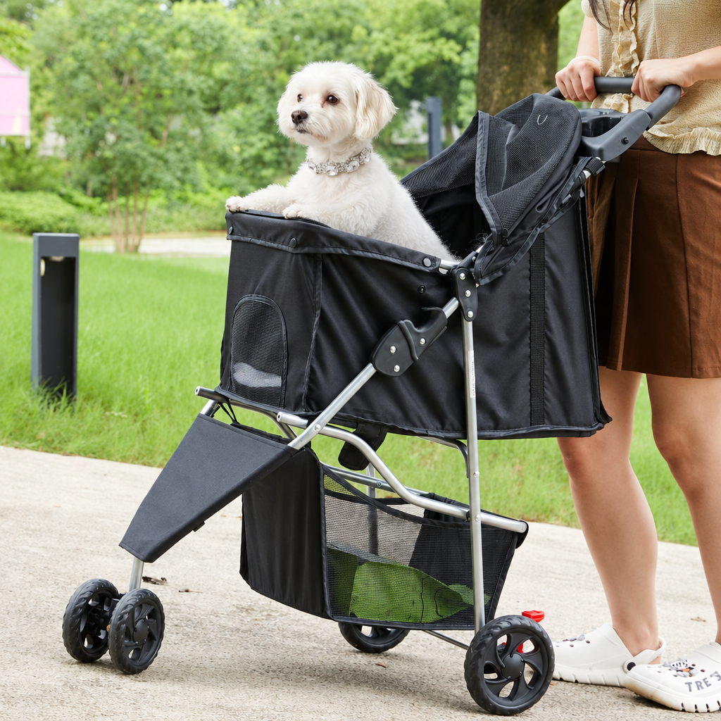 Dog in stroller wearing Diamond Diva collar