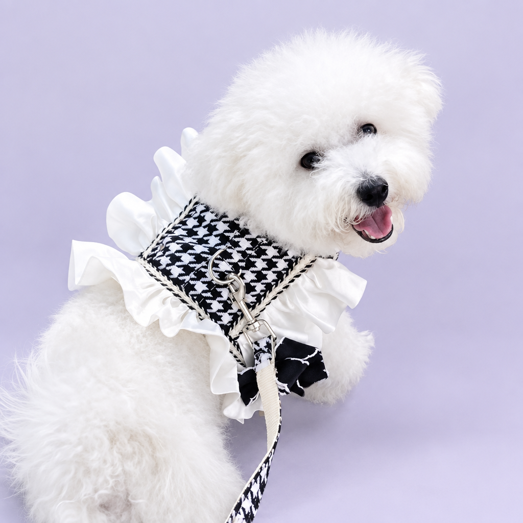 Dog wearing houndstooth harness on a clean background