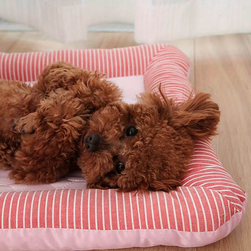 A brown dog lying on a pink and white striped pet bed.