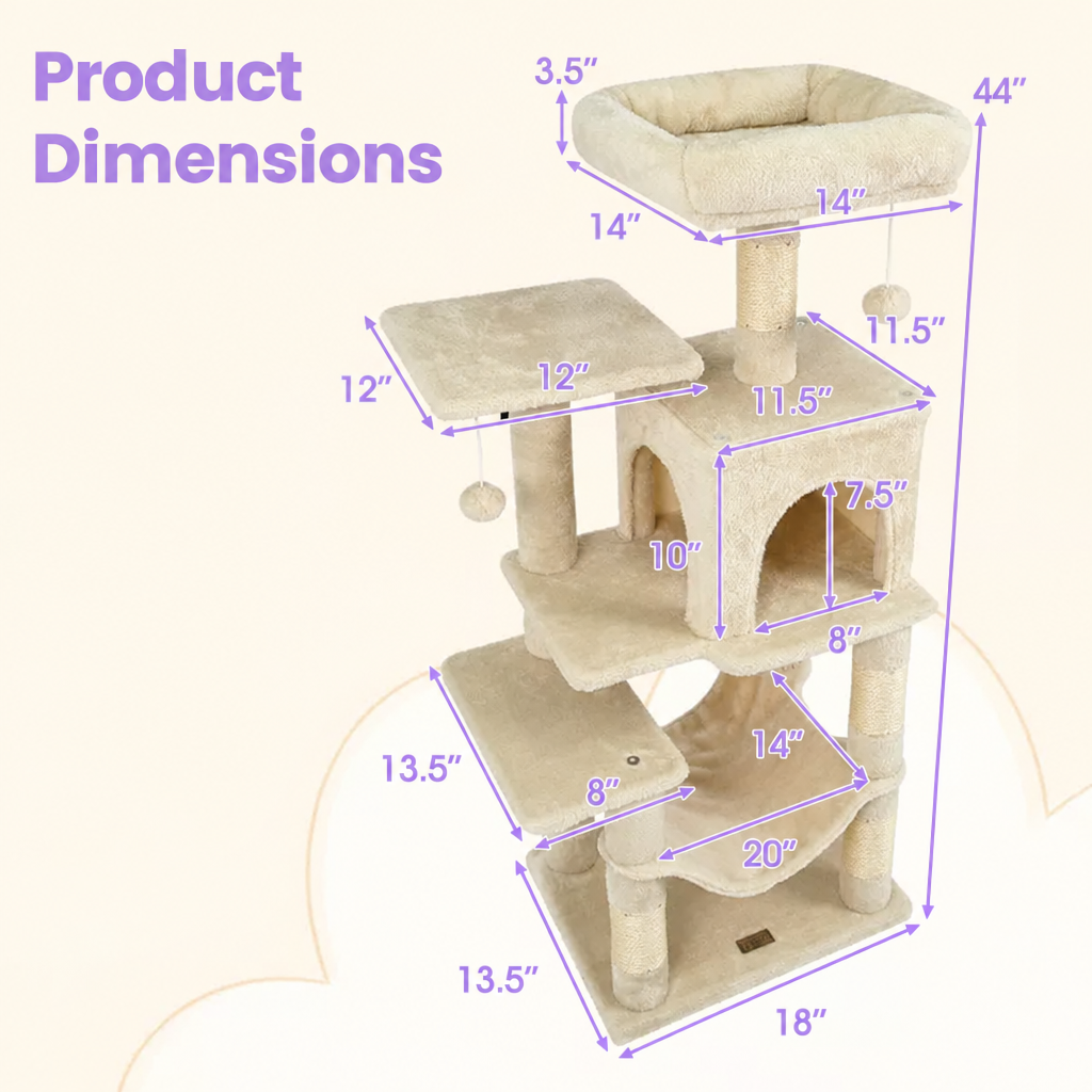Edited dimensions graphic