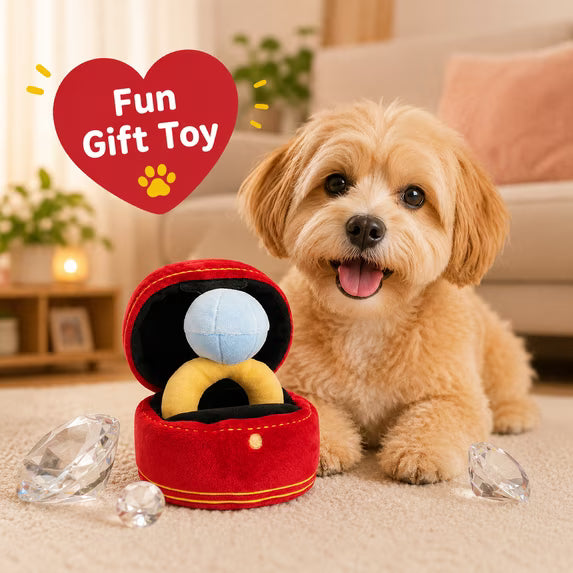 Diamond Ring & Box Plush Dog Toy Set