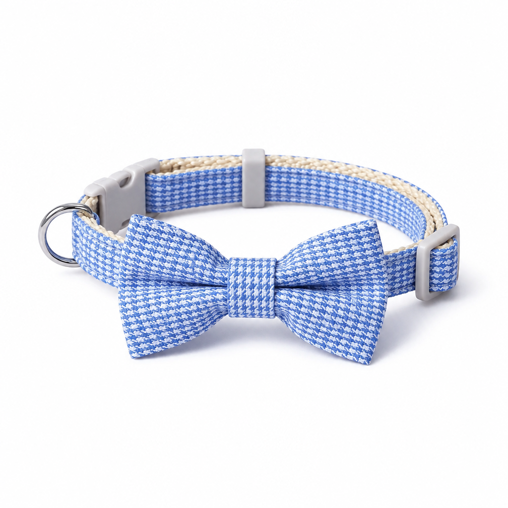 Forward-facing blue bow-tie collar