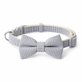 Forward-facing light gray bow-tie collar
