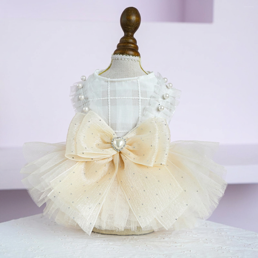 Front view of ivory dress in a pale lavender room with the yellow book removed