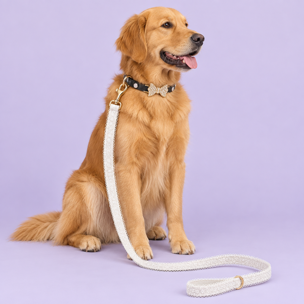 Golden retriever with gold bow collar and white lace leash