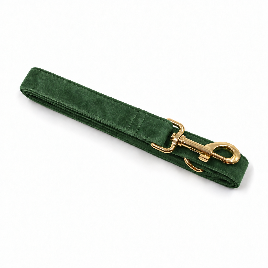 Green velvet leash, close-up