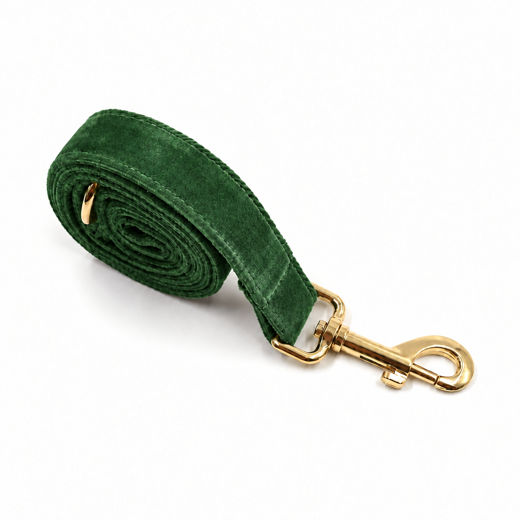 Green velvet leash, full view