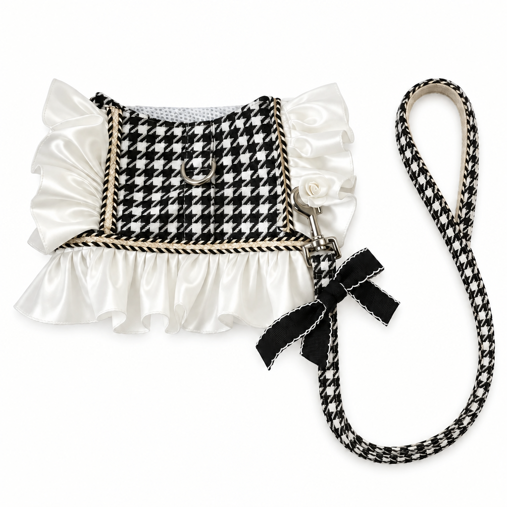 Harness with continuous leash fully in frame