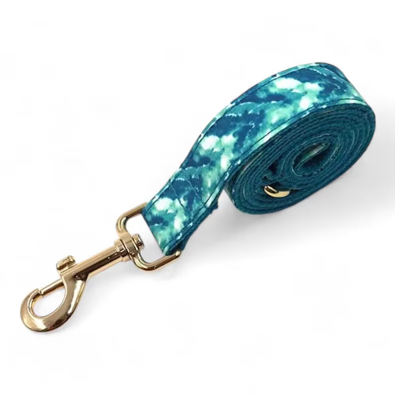 Teal & Blue Dog Harness, Leash and Poop Bag Holder Set