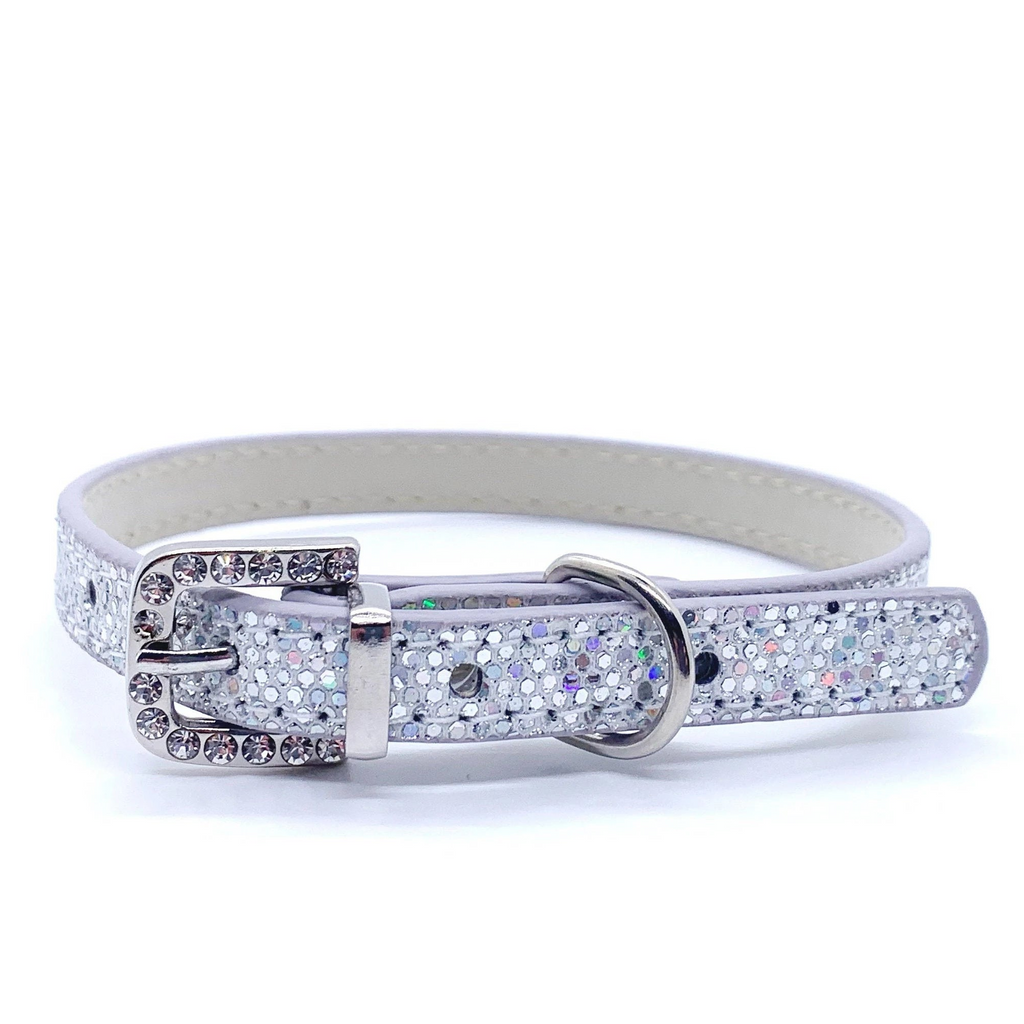 Dog collar with crystal embellishments on a white background