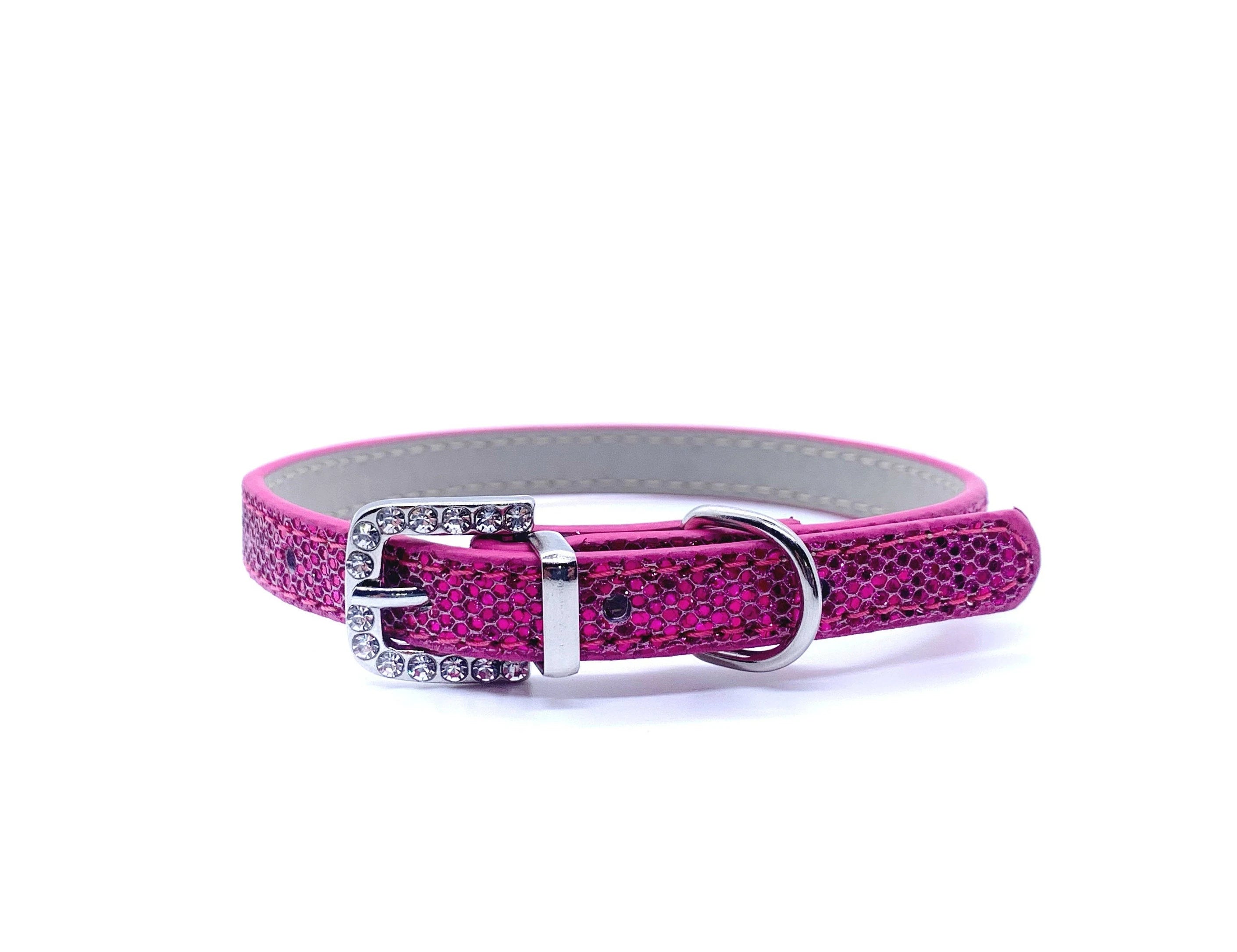 Pink dog collar with a silver buckle on a white background