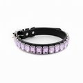 Black pet collar featuring a row of pale lavender rectangular rhinestones on a white background.