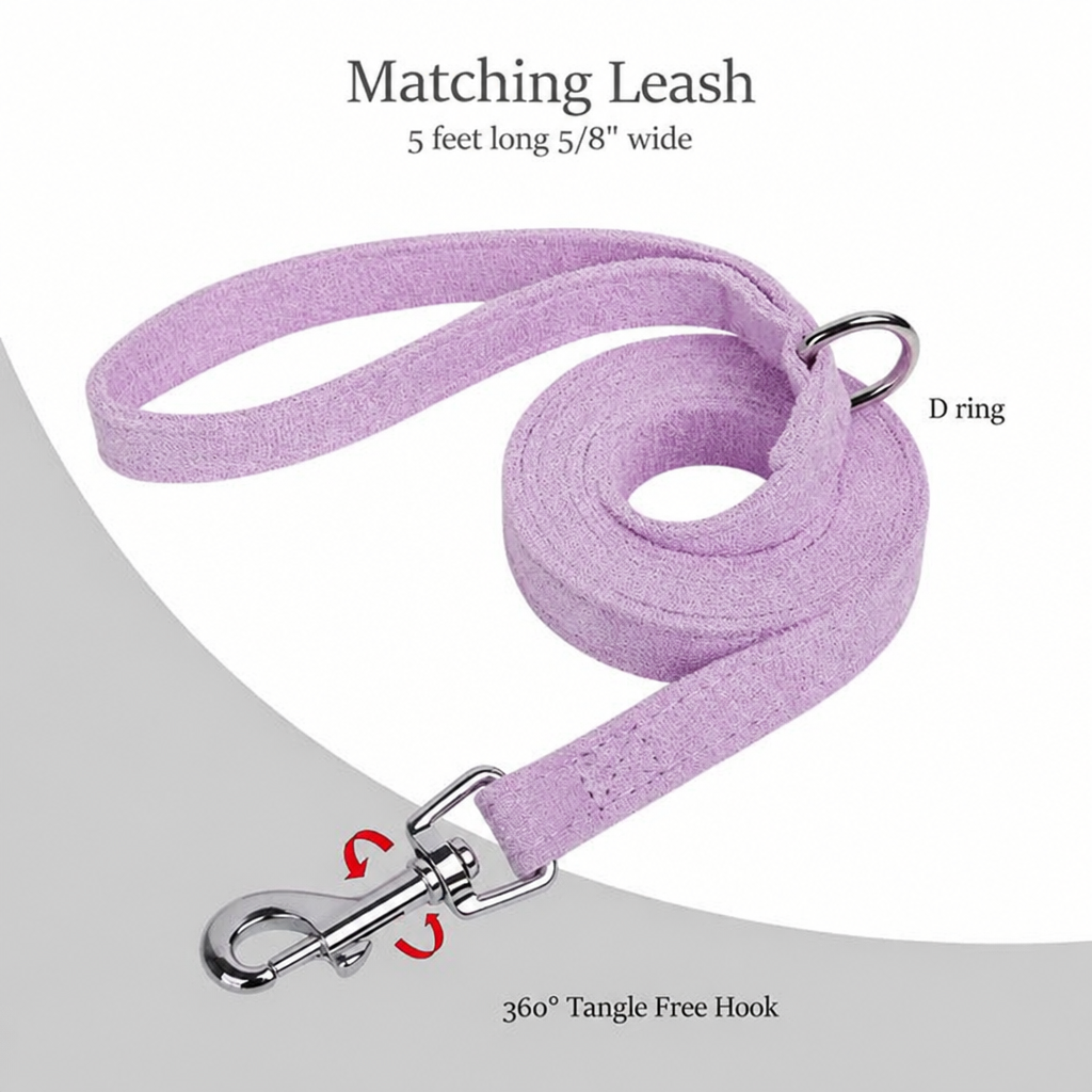 Leash graphic with updated wording