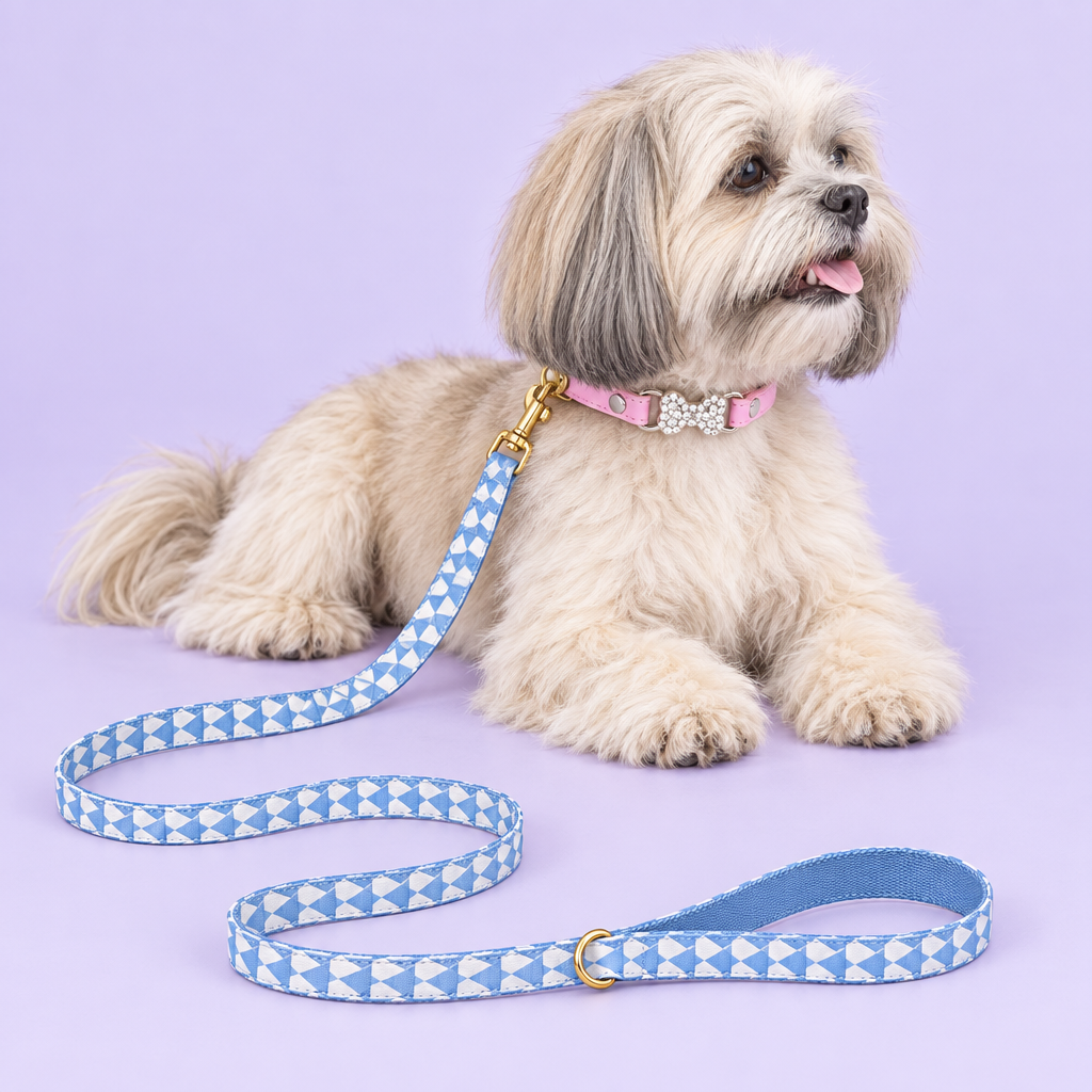 Lhasa Apso with pink bow collar and triangle leash