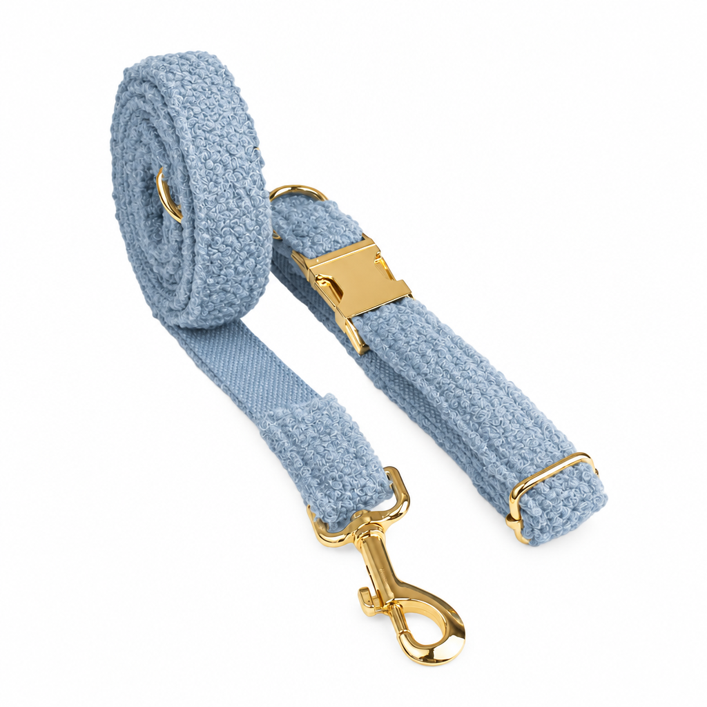 Light blue teddy fleece collar and leash with gold hardware
