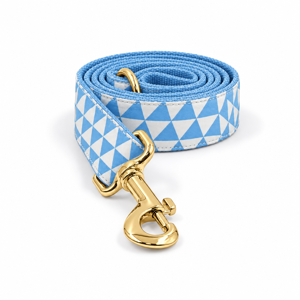 Light blue triangle coiled leash