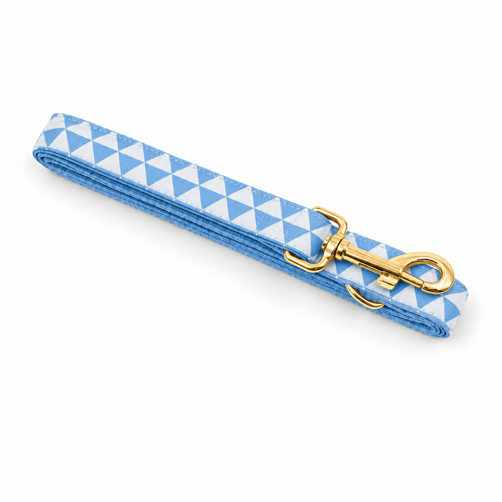 Light blue triangle folded leash
