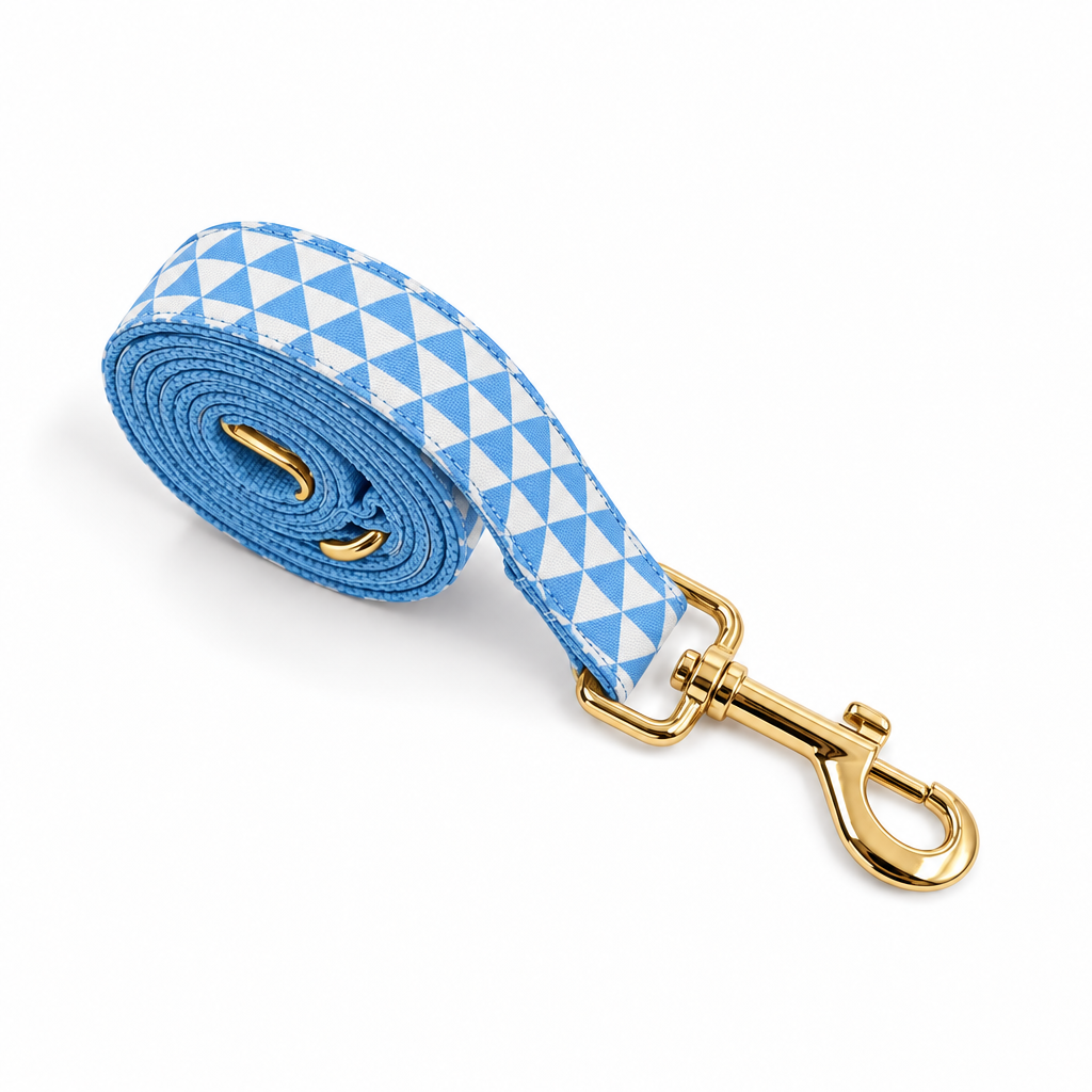 Light blue triangle rolled leash