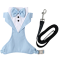 Light-blue tuxedo harness with black leash