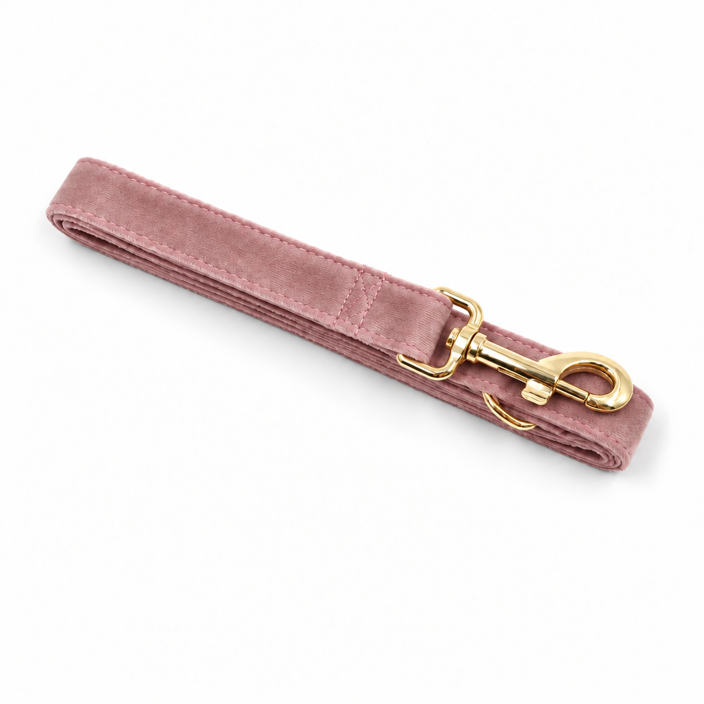 Light pink velvet folded leash with gold hardware