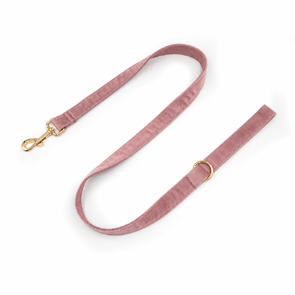 Light pink velvet full-length leash with gold hardware