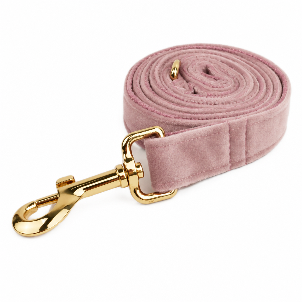 Light pink velvet rolled leash with gold hardware