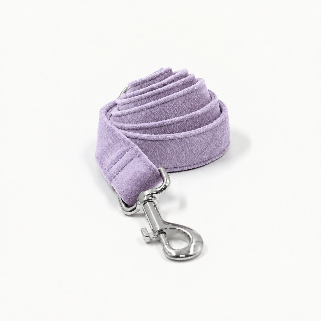 Light purple coiled leash