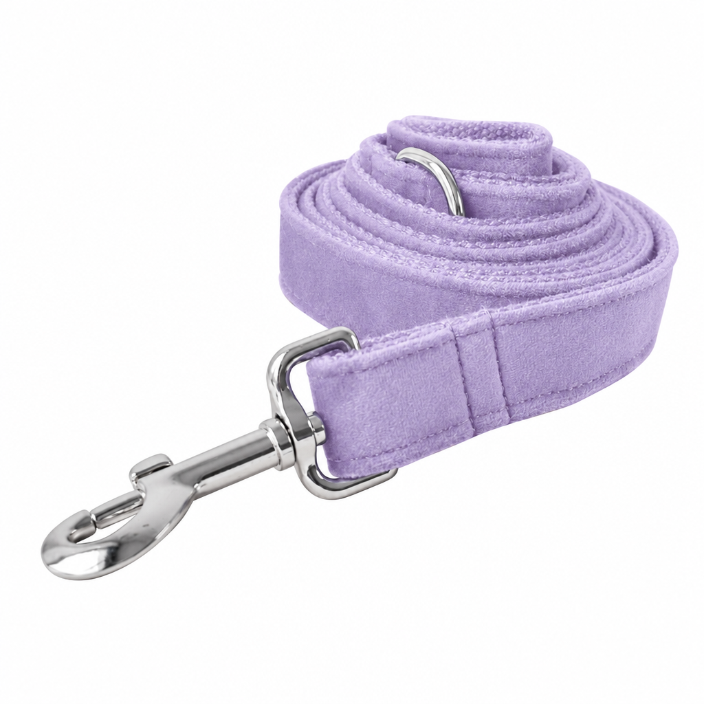 Light purple leash with silver clasp
