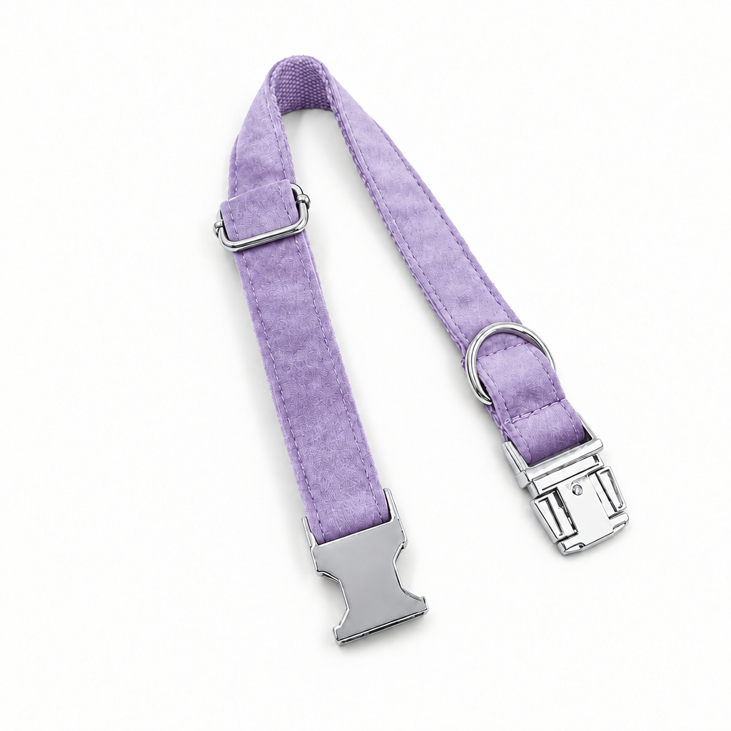 Light purple open collar with silver hardware