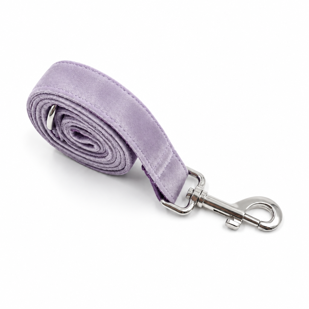 Light purple velvet rolled leash with silver hardware