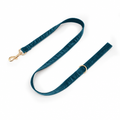 Long leash recolored in deep teal