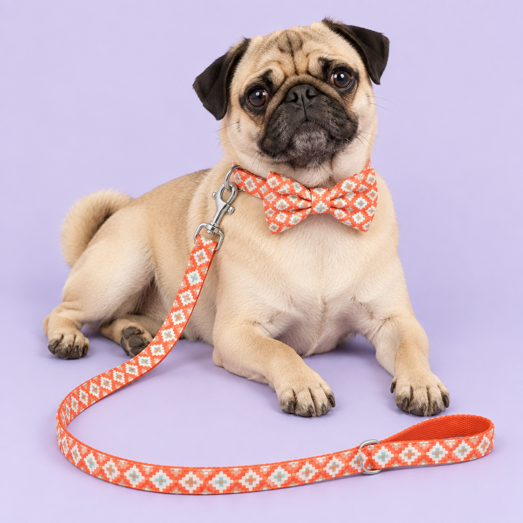 Lounging pug wearing geometric bow collar and leash