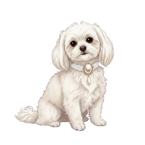 Fluffy Maltese dog wearing an elegant pearl collar — luxury pearl dog accessories from Pretty Posh Pets for small breeds with sophisticated style.