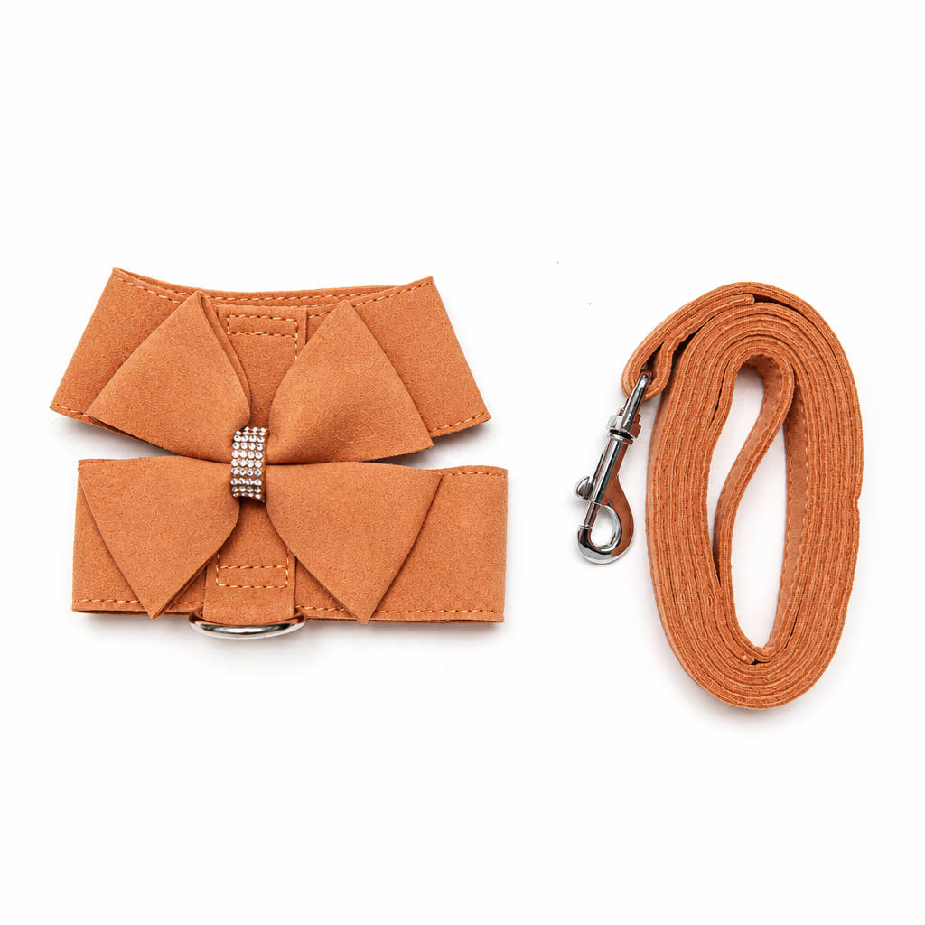 Orange bow harness and leash
