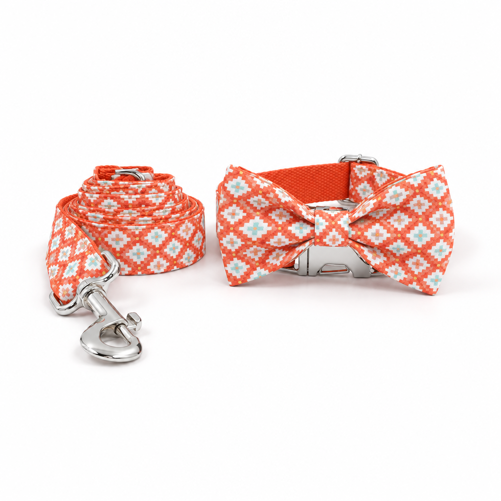 Orange geometric bow collar and leash with silver hardware
