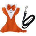 Orange tuxedo harness with black leash