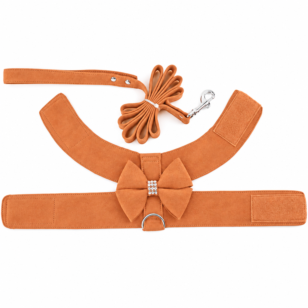 Orange unfolded harness and leash