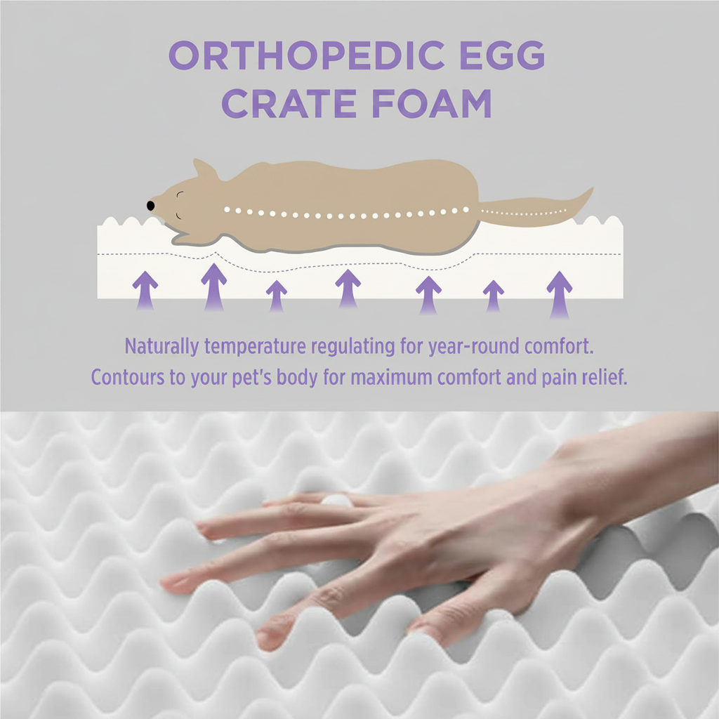 Orthopedic egg crate foam pet bed infographic showing a diagram of a dog lying on contouring foam with pressure-relief arrows, highlighting temperature-regulating and body-contouring support, with a close-up of a hand pressing into the egg crate foam surface
