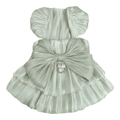 Pale mint bow pet dress on white