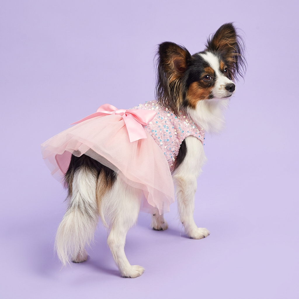 Papillon in the pale blush skirt dress