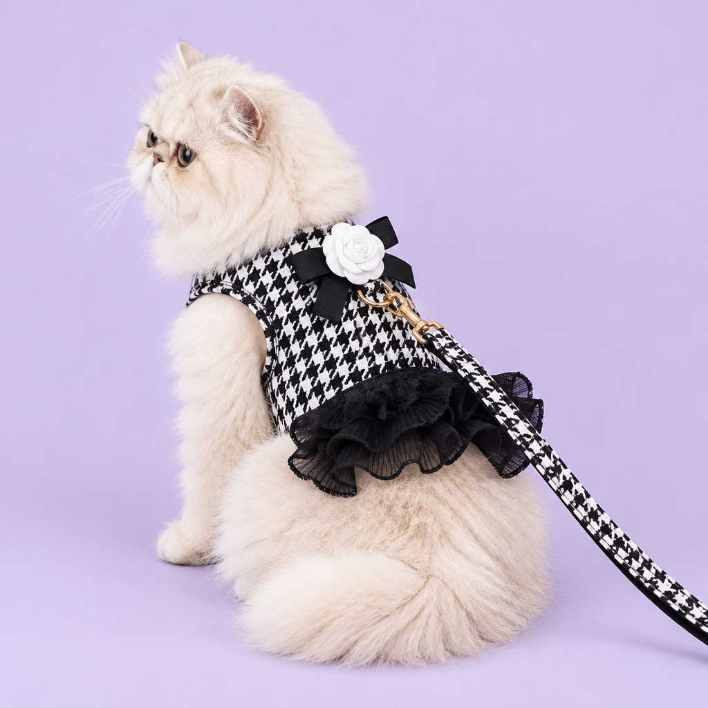 Persian in houndstooth harness
