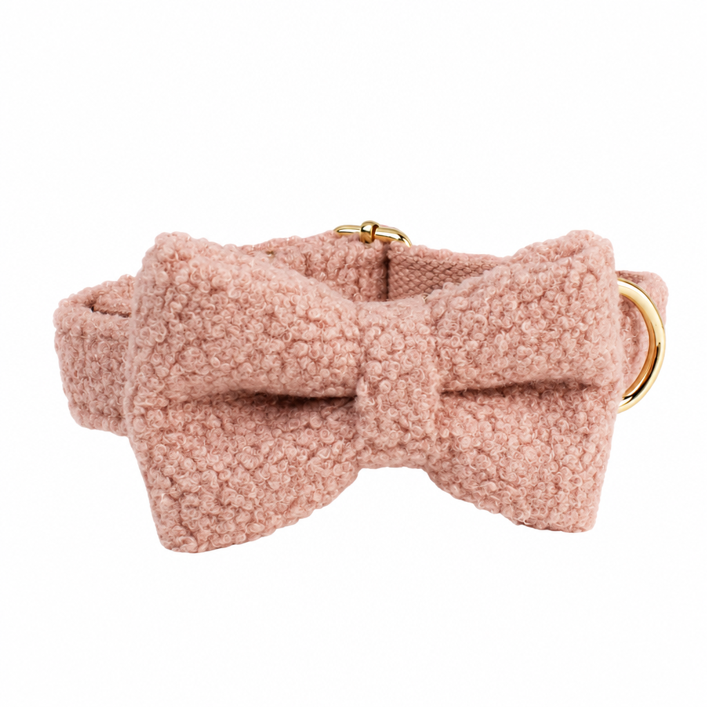 Pink bow collar
